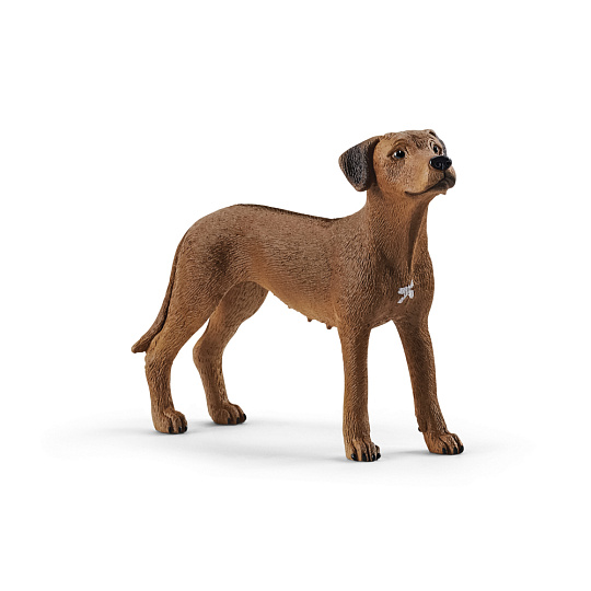 Schleich 13895 Zvířátko - pes ridgback rhodéský Schleich 13895 Zvířátko - pes ridgback rhodéský
