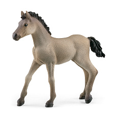 Schleich 13949 zvířátko - hříbě Criollo Definitivo
