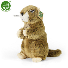 Rappa Plyšový svišť 23 cm ECO-FRIENDLY Rappa Plyšový svišť 23 cm ECO-FRIENDLY