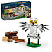 LEGO Harry Potter 76425 Hedvika na Zobí ulici 4