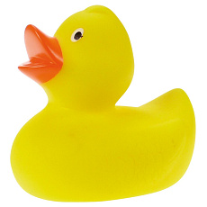 Lena Kačenky velké