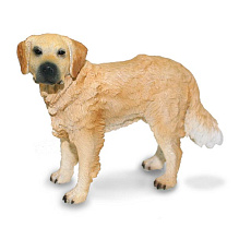 Collecta Zlatý retrívr