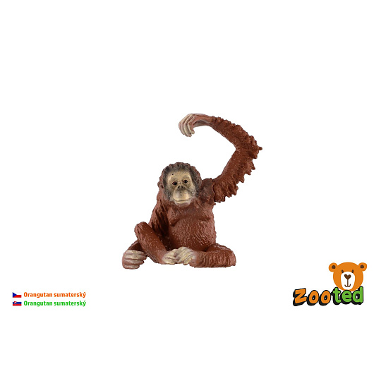 ZOOted Orangutan sumaterský zooted plast 8cm 