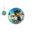 Teddies Míč Tlapková patrola/Paw patrol nafouknutý 23cm v síťce