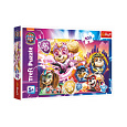 Puzzle Seznamte se s mocnými štěňaty Paw Patrol/Tlapková patrola 100 dílků 41x27,5cm v krab. 29x19cm