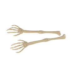 Rappa Dekorace kostra ruky 2 ks