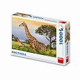Dino ŽIRAFÍ RODINA 1000 Puzzle