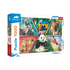 Trefl Puzzle Zvířecí království 1000 dílků 68,3x48cm v krabici 40x27x6cm