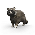 Schleich 14937 zvířátko - mýval