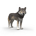Schleich 14991 Zvířátko - vlk americký