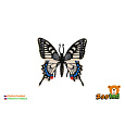 Motýl tropický Papilio/otakárek fenyklový zooted plast 8cm 