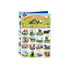 MFP Rappa Pexeso MFP 3xA4 Domácí zvířata MFP Rappa Pexeso MFP 3xA4 Domácí zvířata