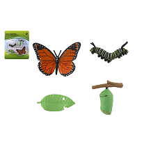 Teddies Vývoj motýla babočky plast 4ks na kartě 19,5x22,5x2,5cm 