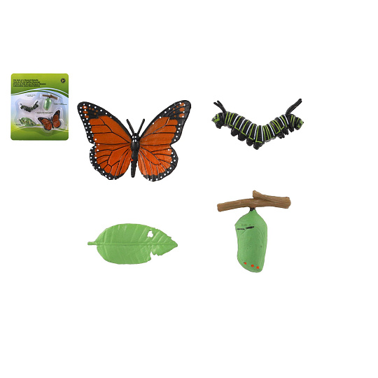 Teddies Vývoj motýla babočky plast 4ks na kartě 19,5x22,5x2,5cm Teddies Vývoj motýla babočky plast 4ks na kartě 19,5x22,5x2,5cm