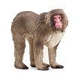 Schleich 14871 Zvířátko - makak červenolící