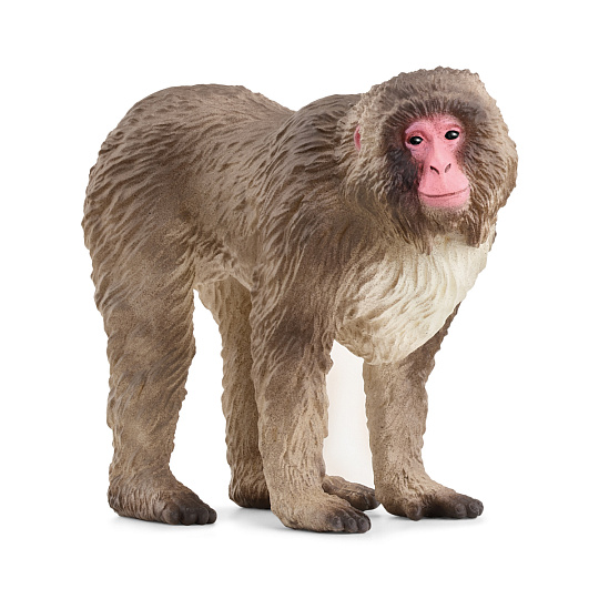 Schleich 14871 Zvířátko - makak červenolící Schleich 14871 Zvířátko - makak červenolící