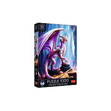 Puzzle Fantasy Collection: Pokladnice 1000 dílků 48x68,3cm v krabici 27x40x6cm