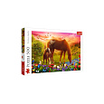Puzzle Rodina koní 500 dílků 48x34cm v krabici 40x26,5x4,5cm