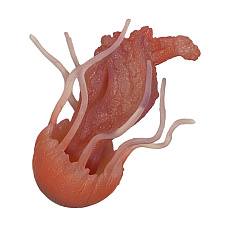 Rappa Medúza gumová 10 cm