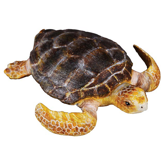 Collecta zvířátka Collecta Želva