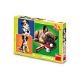 Dino PSÍ SPORTOVCI 3x55 Puzzle