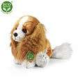 Rappa Plyšový pes kavalír King Charles španěl 28 cm ECO-FRIENDLY