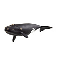 Schleich 14878 Zvířátko - Velryba severoatlantická