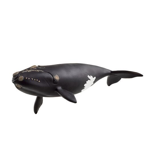 Schleich 14878 Zvířátko - Velryba severoatlantická