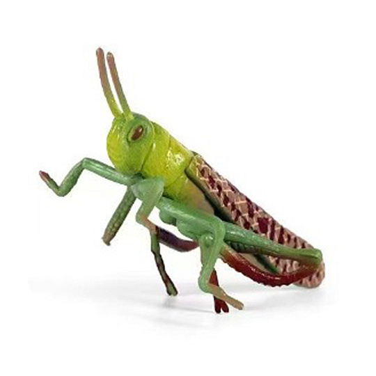 Rappa Hmyz - saranče 7 cm Rappa Hmyz - saranče 7 cm