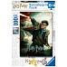 Ravensburger Harry Potter 100 dílků