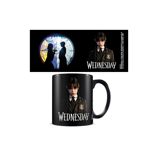 Hrnek Wednesday (Friendship) keramický 315ml v krabici 12x10,5x8,5cm