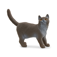 Schleich 13973 Zvířátko - britská krátkosrstá kočka