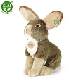 Rappa Plyšový zajíc 30 cm ECO-FRIENDLY