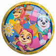 John Míč Paw Patrol 230mm
