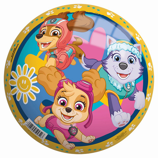 John Míč Paw Patrol 230mm