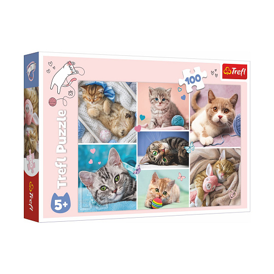 Puzzle Koťátka 41x27,5cm 100 dílků v krabici 29x19x4cm