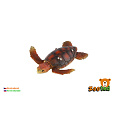 ZOOted Kareta obecná želva zooted plast 8cm 