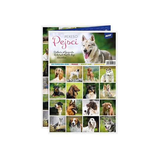 MFP Rappa Pexeso MFP 3xA4 Pejsci MFP Rappa Pexeso MFP 3xA4 Pejsci