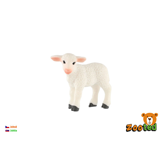 Ovce domácí jehně zooted plast 5cm 