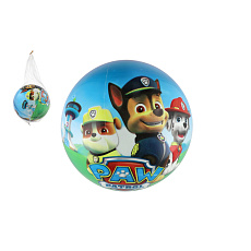 Teddies Míč Tlapková patrola/Paw patrol nafouknutý 23cm v síťce