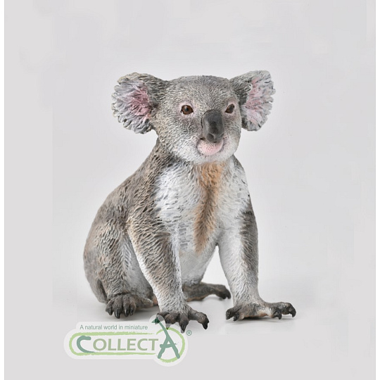 Collecta Koala Collecta Koala