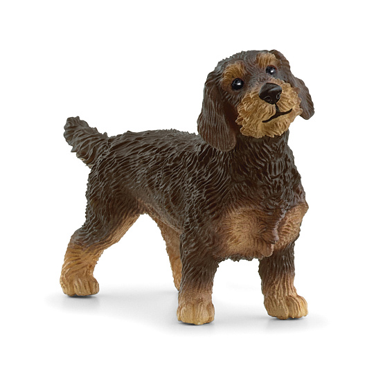 Schleich 13972 Zvířátko - hrubosrstý jezevčík