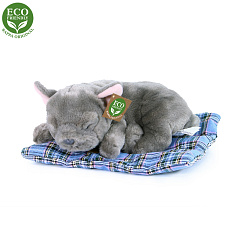 Rappa Plyšový pes francouzský buldoček ležící 23 cm ECO-FRIENDLY