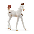 Schleich 14896 Zvířátko - Hříbě marwari