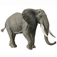 Collecta Mac Toys COLLECTA Slon africký