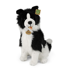 Rappa Plyšový pes border kolie sedící 40 cm ECO-FRIENDLY