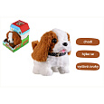 Teddies Králík Ben skákající plyš/plast 16x17cm na baterie se zvukem v krabici 13x19x18cm