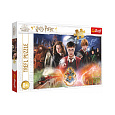 Puzzle Tajemství Harry Potter 300dílků 60x40cm v krabici 40x27x4cm