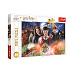 Trefl Puzzle Tajemství Harry Potter 300dílků 60x40cm v krabici 40x27x4cm