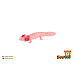 ZOOted Axolotl mexický zooted plast 8cm
